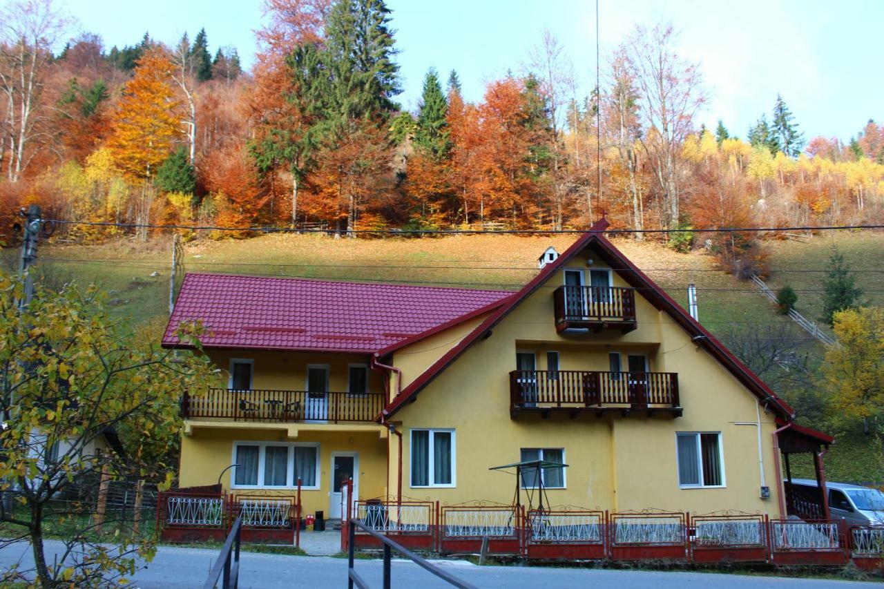Hotel Casuta De Langa Padure Moeciu De Sus Exterior foto
